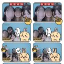 포차씨스타 이미지