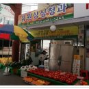 싱싱청과 이미지