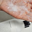 차홍 리하이드라 샴푸 : 수분샴푸 내돈내산 후기
