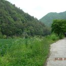 월암사 주차장 이미지