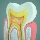 한결치과 이미지