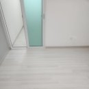 진성투토펠리체 네이버블로그