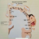 중풍 광명건강(뇌 신경) 이미지