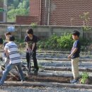 행복한체험마을 이미지