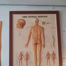 뷰티위너즈