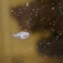 홈브리딩 이미지