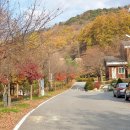 백야자연휴양림백야목재문화체험장 네이버블로그