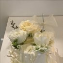 지지케이크(zizicake) 이미지