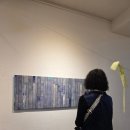 홍이마켓 이미지