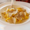 White plin 이미지