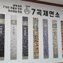 배재로233번길 이미지