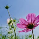 찬영빌딩 이미지