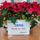 그린가게 이미지