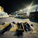 대사관광장 이미지