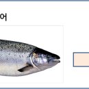 공동구매 연어도착 7월 5일 금요일 [타우랑가 비전유학원] 이미지
