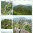 용아농장 이미지