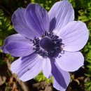 맛있는 집밥요리 이미지