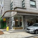 마일드모디쉬클럽 이미지