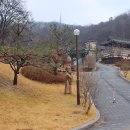 이천공원 이미지