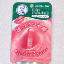 레드립 | 돈키호테 추천템 립퐁듀 가격 후기｜플럼레드·베이비핑크 색상 비교 + 할인쿠폰 꿀팁 총정리