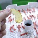 호텔당근 이미지