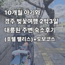 경주축구공원주차장 | 경주 아기랑 여행｜10개월 아기와 대릉원 도보권 숙소 호텔팰리스 후기 + 유모차 산책 코스