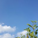 마음의평화정신건강의학과의원 이미지