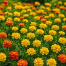 선명한공인중개사사무소 이미지