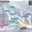 엘리시안강촌월드스키렌탈샵 이미지