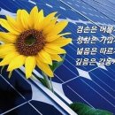 고창3호태양광발전소 | [2년 전 오늘] #전북_고창_익산 #양면모듈_태양광_반사매트_빛반사필름_반사판_시공_후기