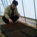 뿌리목장 이미지