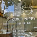 범어애견 이미지