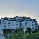 스테이고재325 이미지