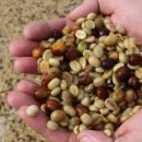 이커피(E-COFFEE) 이미지