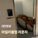 비어클럽 | 대한항공 마일러클럽라운지 후기 (세라잼,샤워실,네임택 팁!)