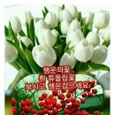 오늘은 이미지