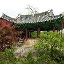 순천-62호 이미지