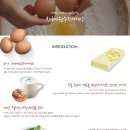 차혜원수제케익