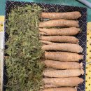 더덕쟁이 이미지