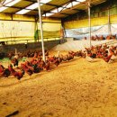 키우소농장 이미지