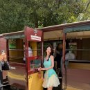 빌리 | 멜버른 여행 | 퍼핑빌리 기차 체험 후기와 마루 동물원에서 코알라·쿼카 만난 날