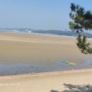 청포대 별주부 이미지