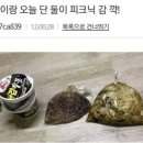 피크닉스토리 이미지
