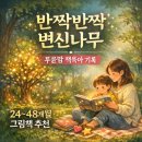투윤맘