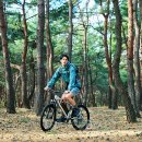 중동D.C마트 이미지