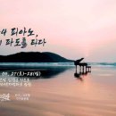 보라피아노 이미지