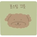 비비펫살롱 이미지