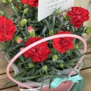 평동농업협동조합(마트) 이미지