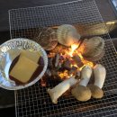 더블스테이풀빌라또또멍가평1호점10동 | 가평 풀빌라! 강아지와 함께 수영할 수 있는 애견동반펜션 풀빌라 [더블 스테이 풀빌라 또또멍]