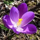 그린바다 이미지